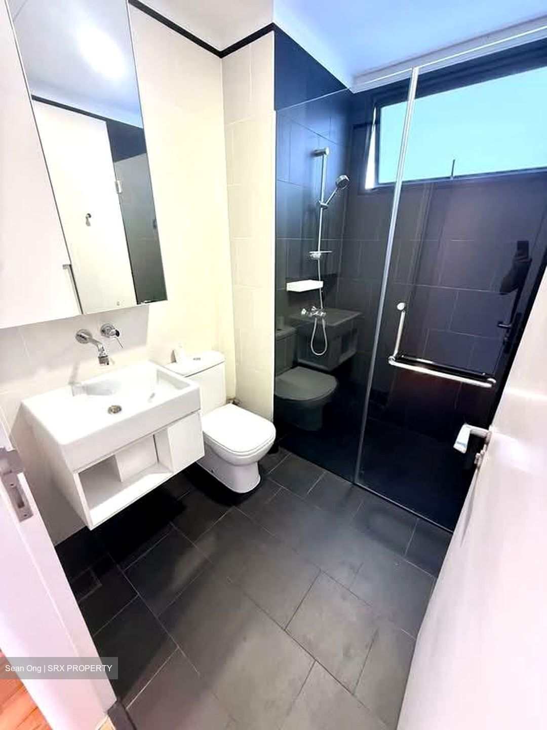Village @ Pasir Panjang (D5), Condominium #582234541